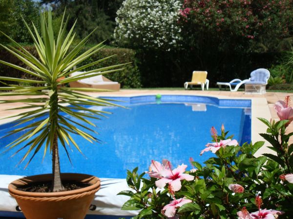 Cost of Pool Terrace Renovation in Edison
